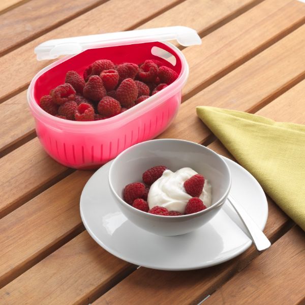 Berry box
