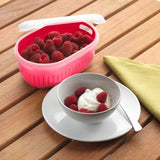 Berry box