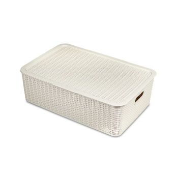 519344_Rattan Storage Box with Lid